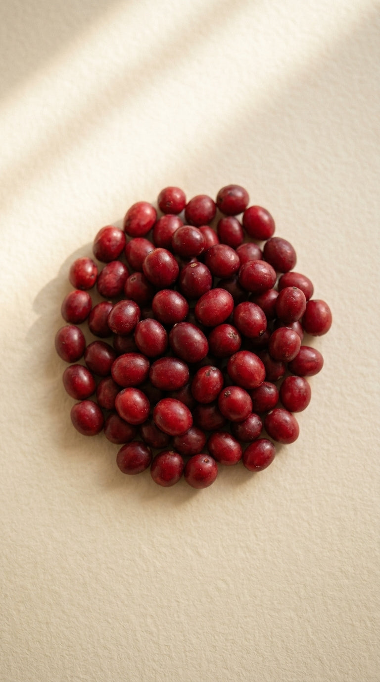 Berbérine300 mg · HCl