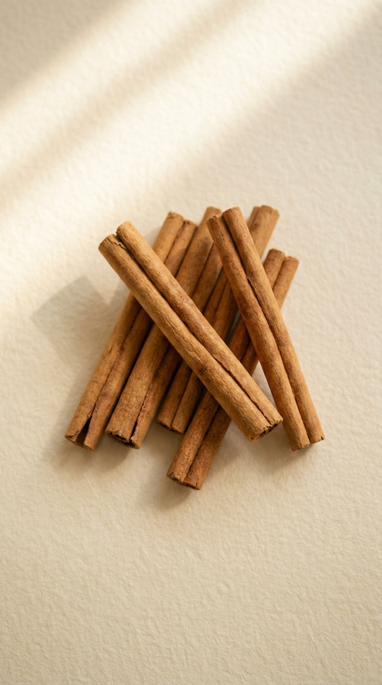 Cannelle100 mg · extrait